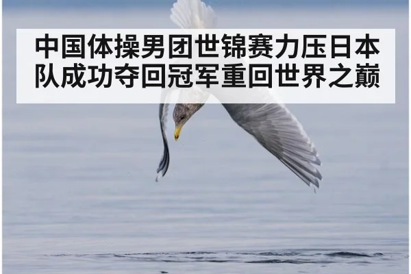 中国体操男团世锦赛力压日本队成功夺回冠军重回世界之巅