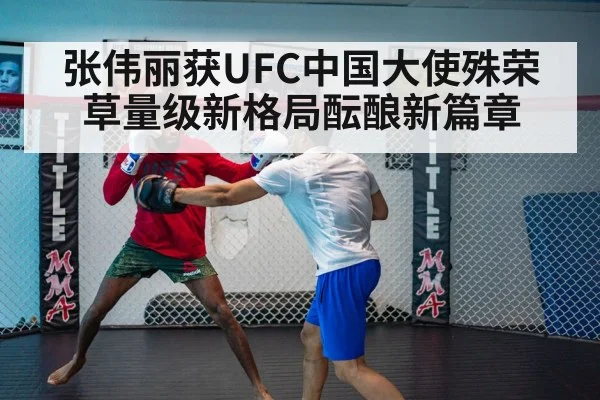 UFC fight cage